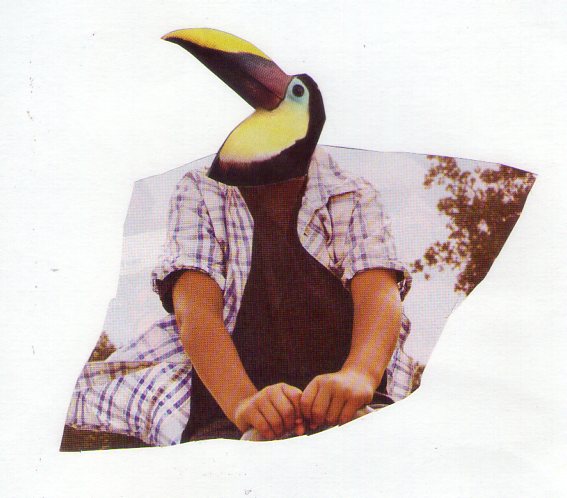 Fig Humana (11).jpg